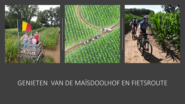 Maïsdoolhof Foto016