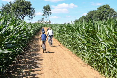 Demerelhoeve-FietsenDMais-Small.png